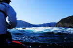 IMG_1249.JPG