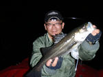 sP5200276.jpg
