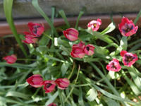 DSC04478-45.jpg
