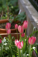 DSC04474-45.jpg