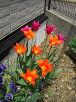 CIMG0849-45.jpg