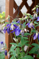 DSC04549-45.jpg