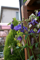 DSC04550-45.jpg