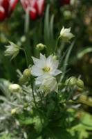 DSC04536-45.jpg