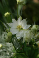 DSC04539-45.jpg