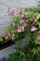 DSC04551-45.jpg