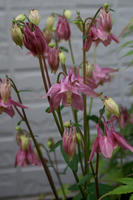 DSC04555-45.jpg