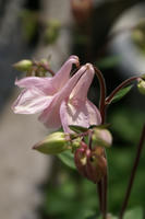 DSC04593-45.jpg