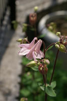 DSC04594-45.jpg