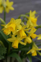 DSC05269-15.JPG
