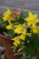 DSC05270-15.JPG