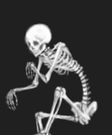 骸骨