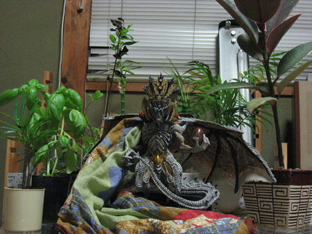 キングドラーコ