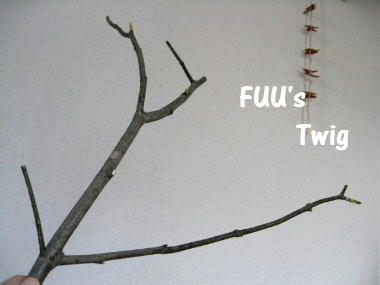 twig.JPG