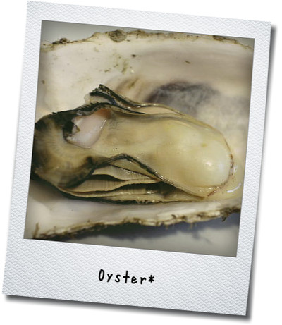 Oyster.jpg