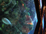 DSCF0162.jpg