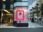 2007111111.jpg