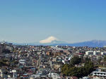 P1000343_edited-1.JPG