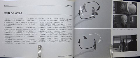 マスターショット100中身10