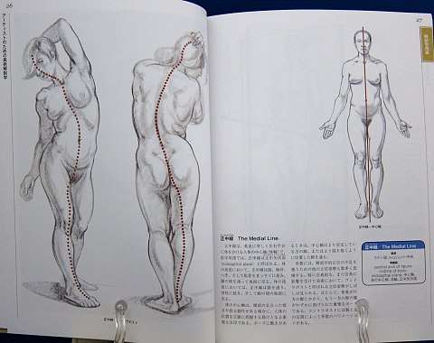 アーティストのための美術解剖学中身01
