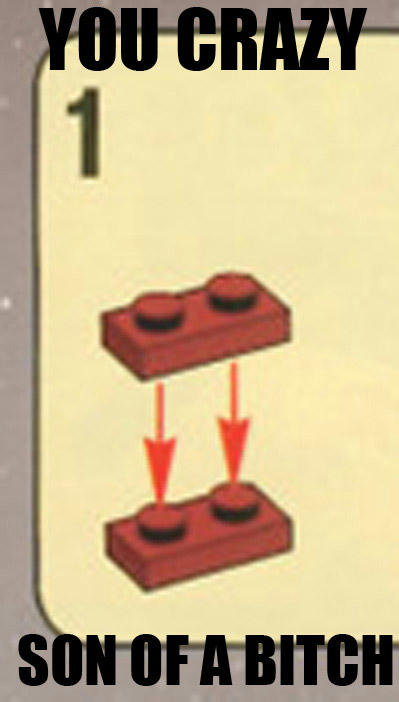 正気じゃないLEGO説明書の指示