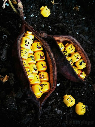 LEGOの秋。