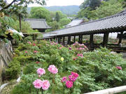 長谷寺
