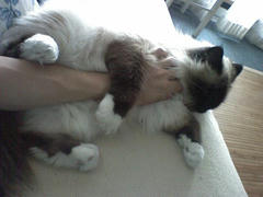 Photo_0047.jpg