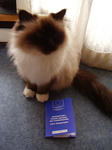P2040005.JPG
