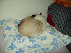100_0037.JPG