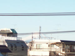 2010jan