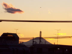 2011年1月17日