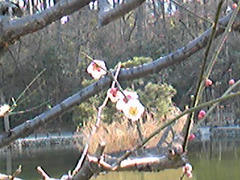 120314_153234.jpg