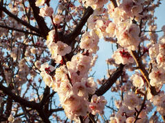 20120324_002.jpg