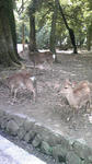DVC00060.JPG