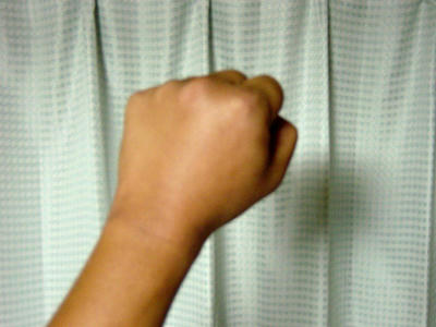 08-08-03b.jpg