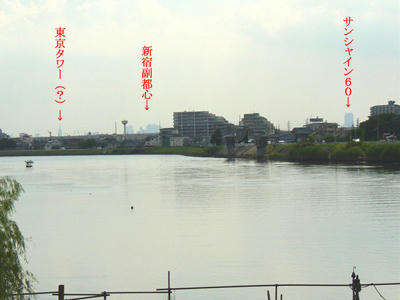 08-08-08a.jpg