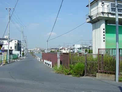 08-08-08b.jpg