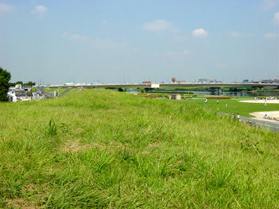 08-08-08d.jpg