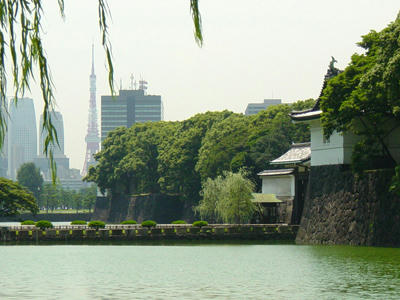 08-08-08k.jpg