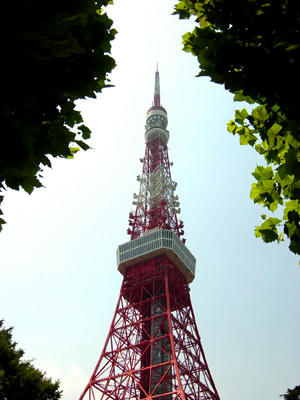 08-08-09a.jpg