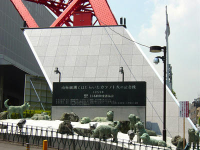 08-08-09b.jpg
