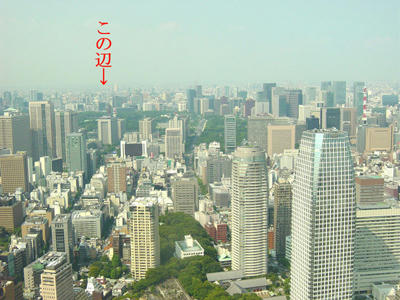08-08-09f.jpg