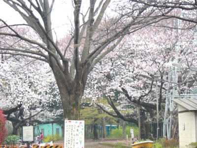 09-04-01a.jpg