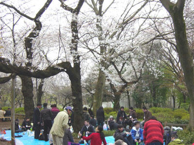 09-04-01b.jpg