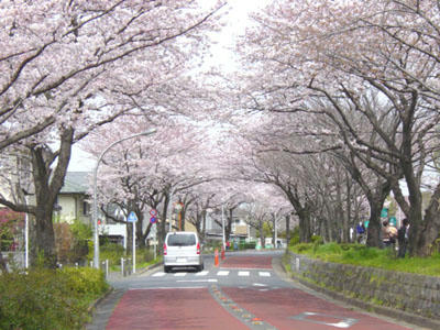 09-04-05b.jpg