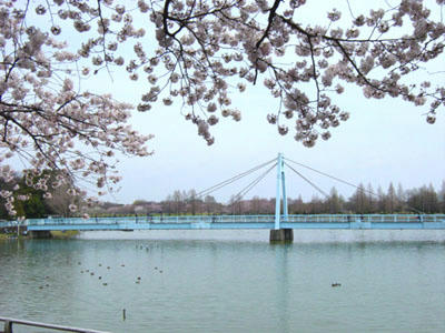 09-04-05c.jpg