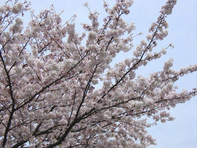 09-04-05d.jpg
