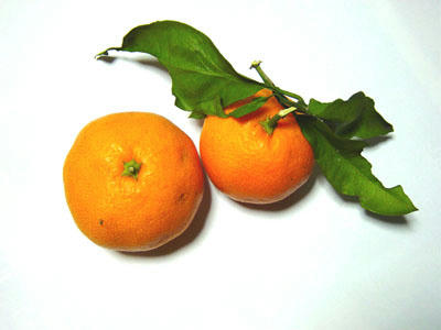 09-12-22c.jpg
