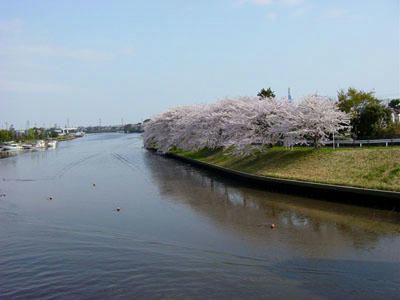 11-04-10a.jpg